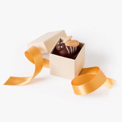 Thumbnail image for Chocolate Bee Favor
